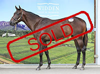 WRITTEN BY x PELTIER FILLY.